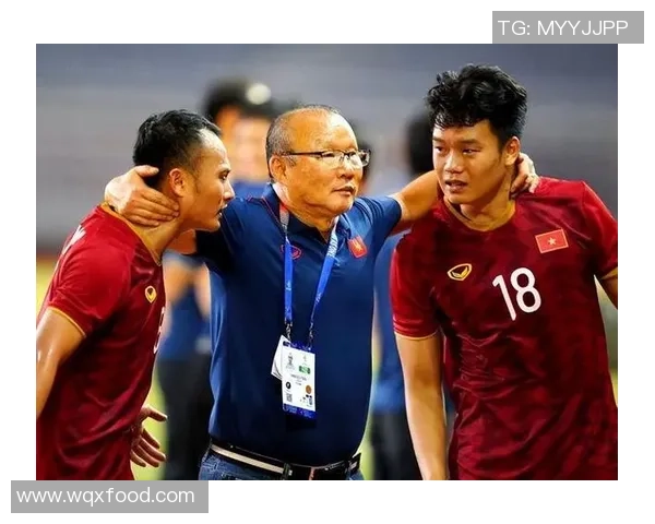 杭州飞盘队反击之路：胜利与失利的深度剖析与启示