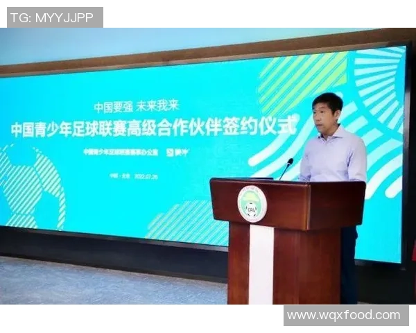 深圳足球队的运营模式与发展策略深度解析